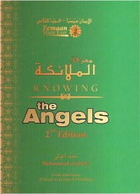 Image of Knowing the Angels