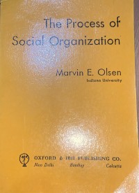 Image of The process of social organization