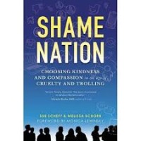 Image of Shame nation